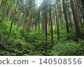 Deep in the forest 140508556
