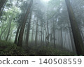 A forest enveloped in mist 140508559