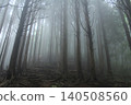 A forest enveloped in mist 140508560