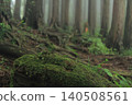 A forest enveloped in mist 140508561