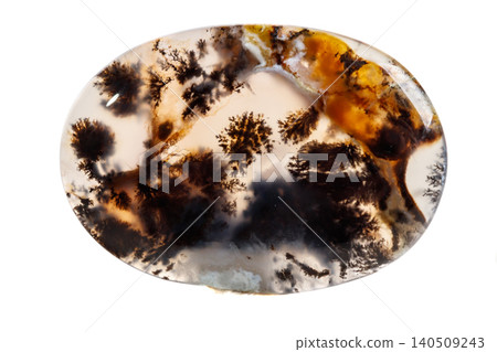 Macro mineral stone Moss Agate, Agata muschiataan Macro mineral stone Moss Agate, Agata muschiataan 140509243