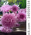 Chrysanthemums in a vase 140509334