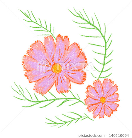 用蠟筆畫的粉紅色波斯菊 用蠟筆畫的粉紅色波斯菊 140510094