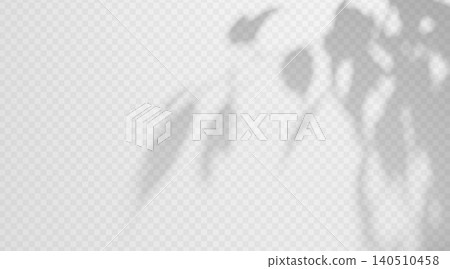 Blurred birch branch shadow overlay isolated on transparent background. Delicate soft foliage silhouette with diffused light effect. Blurred birch branch shadow overlay isolated on transparent background. Delicate soft foliage silhouette with diffused light effect. 140510458