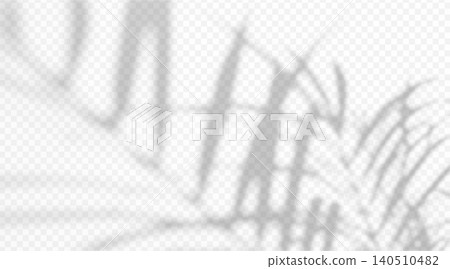 Abstract blurred palm tree branch shadow overlay isolated on transparent background. Soft tropical leaf silhouette with diffused light effect. Abstract blurred palm tree branch shadow overlay isolated on transparent background. Soft tropical leaf silhouette with diffused light effect. 140510482