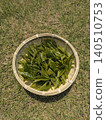 Freshly picked tea leaves on the lawn 140510753