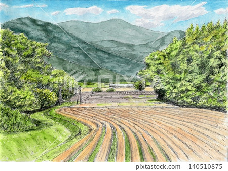 六月的麥田 六月的麥田 140510875