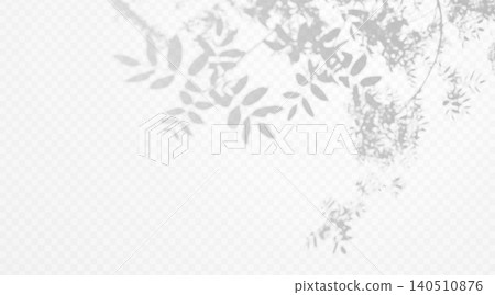 Shadow overlay of twig on transparent background. Blurred tree branch silhouette creating soft natural light effect. 140510876