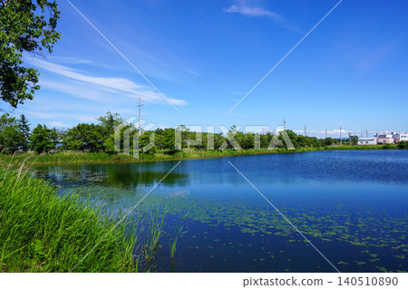 A look at the swamp at the back of the Herabu Square (Kitamura Central Park, Kitamura, Iwamizawa City) 140510890