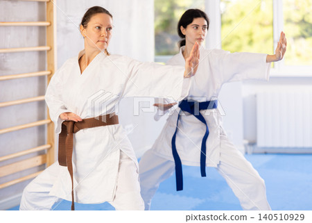 Two women training karate techniques in studio Two women training karate techniques in studio 140510929