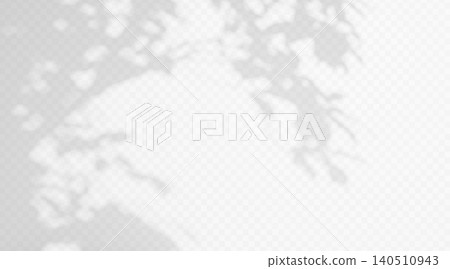 Abstract tree leaf shadow overlay on transparent background. Soft blurred foliage silhouette with natural sunlight effect and botanical gobo light texture. Abstract tree leaf shadow overlay on transparent background. Soft blurred foliage silhouette with natural sunlight effect and botanical gobo light texture. 140510943