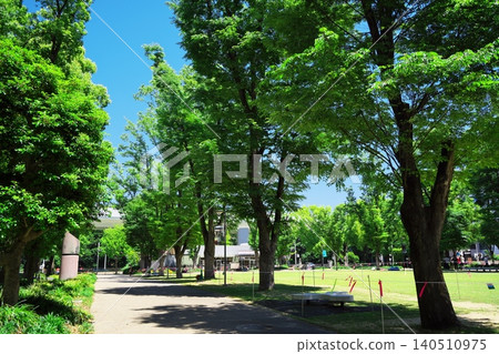 名古屋市久屋大通公園北端草坪旁的人行道 名古屋市久屋大通公園北端草坪旁的人行道 140510975
