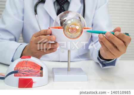 Asian doctor with eye human anatomy model for study diagnosis and treatment in hospital. 140510985