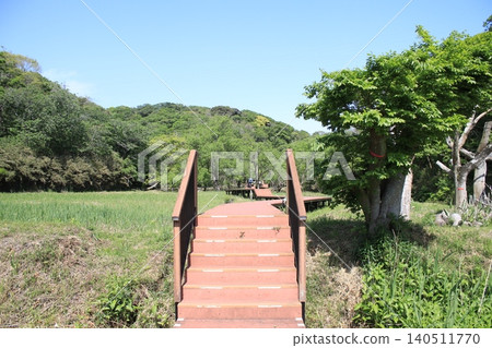 Miura city scenery Miura city scenery 140511770
