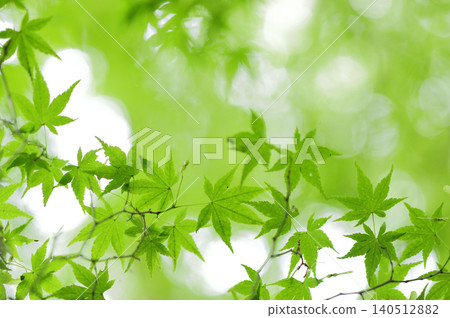 Fresh green season 140512882