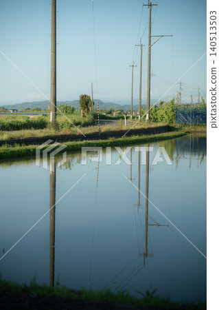 A rural landscape where the blue sky and telephone poles are reflected in the water-filled rice paddies. A rural landscape where the blue sky and telephone poles are reflected in the water-filled rice paddies. 140513503