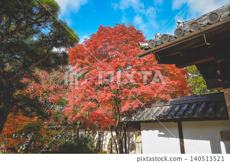Serene Tenju an Temple Garden in Historic Kyoto Nov 26 2025 Serene Tenju an Temple Garden in Historic Kyoto Nov 26 2025 140513521