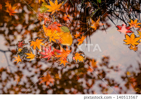 Autumn Zen Garden with Pond at Tenju an Kyoto Nov 26 2025 Autumn Zen Garden with Pond at Tenju an Kyoto Nov 26 2025 140513567