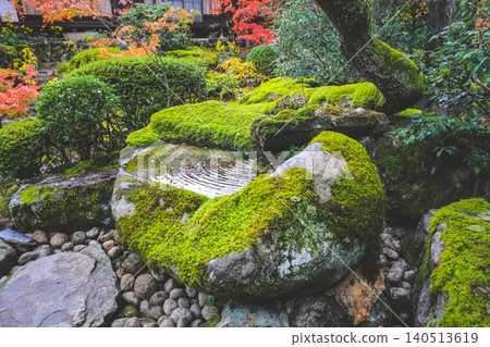 Moss Covered Stone in Tenju an Zen Garden Kyoto Nov 26 2025 Moss Covered Stone in Tenju an Zen Garden Kyoto Nov 26 2025 140513619