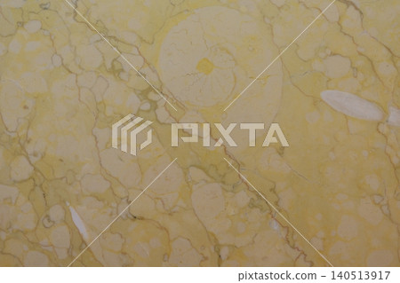 Ammonite fossils on a marble wall Ammonite fossils on a marble wall 140513917