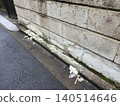 A scene of a wall and pathway made of Oya stone, damaged and with its surface peeling off due to aging. 140514646