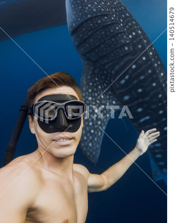 Snorkeler man swimming beside whale shark in tropical blue ocean Snorkeler man swimming beside whale shark in tropical blue ocean 140514679