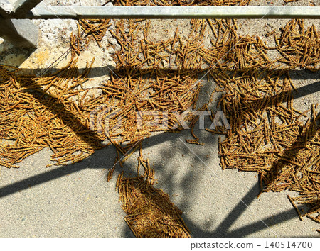 Close-up of fallen birch buds and catkin scales scattered on concrete surface casting shadows in sunlight 140514700