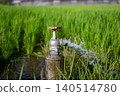 Rice field faucet 140514780