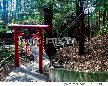 白石神社,神社內的鳥居,札幌市白石區,樹蔭下 白石神社,神社內的鳥居,札幌市白石區,樹蔭下 140514980