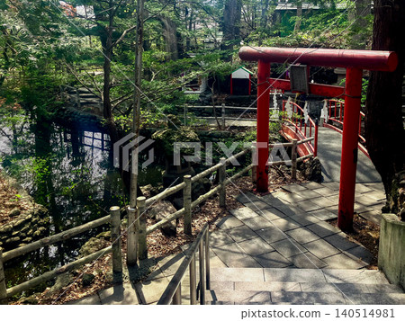 白石神社、鳥居與池塘,札幌市白石區,樹蔭下 白石神社、鳥居與池塘,札幌市白石區,樹蔭下 140514981