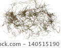 Dry Rice Straw Isolated with Clipping Path on White Background 140515190