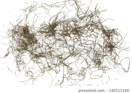 Dry Rice Straw Isolated with Clipping Path on White Background Dry Rice Straw Isolated with Clipping Path on White Background 140515190