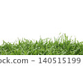 Fresh Green Grass Tip Isolated with Clipping Path 140515199