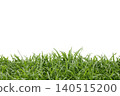 Fresh Green Grass Tip Isolated with Clipping Path 140515200