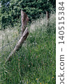 Old wooden fence post with barbed wire line separating long grass field 140515384