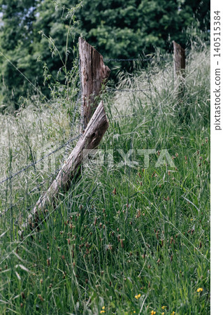 Old wooden fence post with barbed wire line separating long grass field 140515384