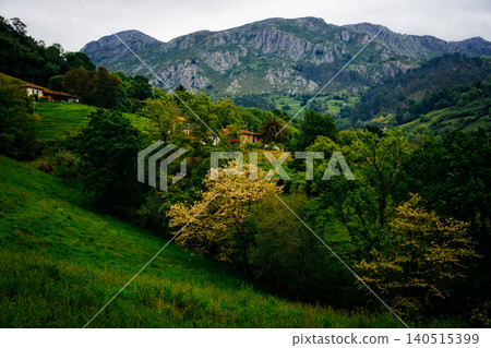 Asturias green rural landscape with mountains and trees 140515399