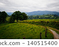 Asturias green rural landscape with mountains and trees 140515400