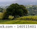 Asturias green rural landscape with mountains and trees 140515401