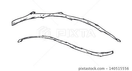 Two bare tree branches linear drawing. Simple wooden twig vector isolated illustration for natural design element. Hand drawn sketch of forest element for organic decoration. Two bare tree branches linear drawing. Simple wooden twig vector isolated illustration for natural design element. Hand drawn sketch of forest element for organic decoration. 140515556
