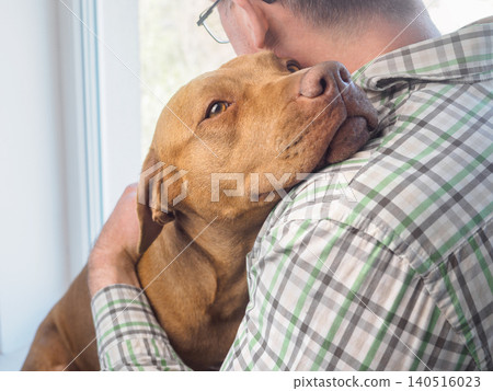 Brown Pit Bull resting head on male owner's shoulder Brown Pit Bull resting head on male owner's shoulder 140516023