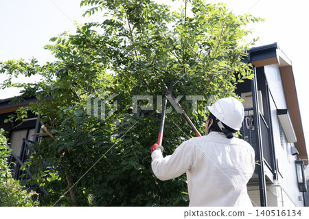 園林工人切割花園的樹 園林工人切割花園的樹 140516134