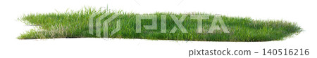 Isolated green grass row and field Isolated green grass row and field 140516216
