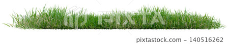 Isolated green grass row Isolated green grass row 140516262