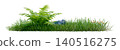 Isolated green grass row featuring a large lush fern plant 140516275
