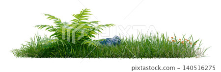 Isolated green grass row featuring a large lush fern plant Isolated green grass row featuring a large lush fern plant 140516275