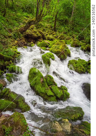 A bubbling mountain stream surrounded by dense vegetation A bubbling mountain stream surrounded by dense vegetation 140516562