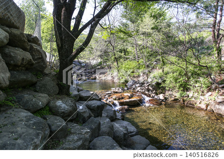 Beautiful Summer Valley Stream in a Lush Korean Forest Beautiful Summer Valley Stream in a Lush Korean Forest 140516826