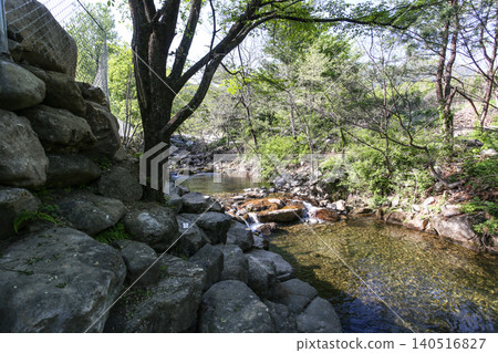 Beautiful Summer Valley Stream in a Lush Korean Forest Beautiful Summer Valley Stream in a Lush Korean Forest 140516827
