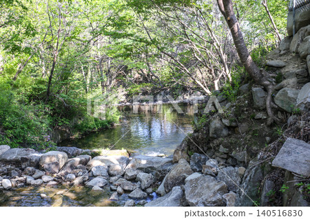 Beautiful Summer Valley Stream in a Lush Korean Forest Beautiful Summer Valley Stream in a Lush Korean Forest 140516830
